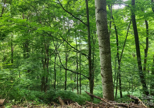 1st image of 0000 Jacks Knob Rd, Weaverville, NC 28787 | MLS# 4406308