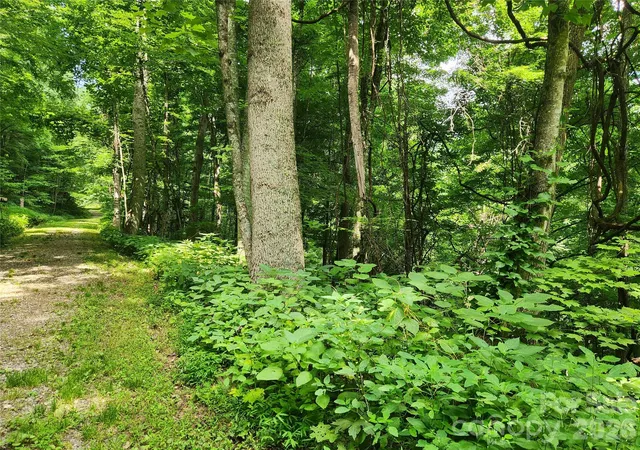 2nd image of 0000 Jacks Knob Rd, Weaverville, NC 28787 | MLS# 4406308