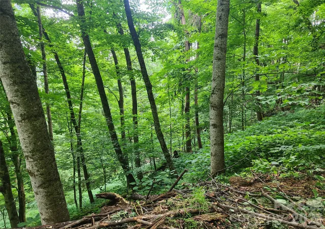 Photo 3 of Land for sale at 0000 Jacks Knob Rd, Weaverville, NC 28787 | MLS# 4406308 | Listing updated on 2026-07-22