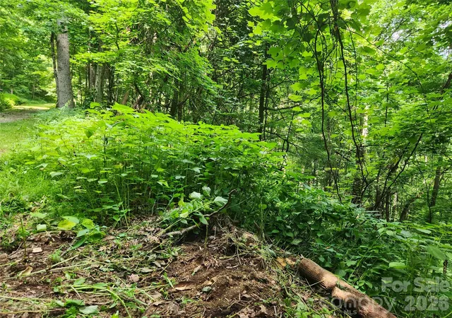 4th image of 0000 Jacks Knob Rd, Weaverville, NC 28787 | MLS# 4406308