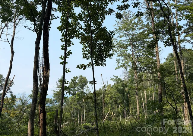 1st image of 000 Catbrier Ln, Burnsville, NC 28714 | MLS# 4406382