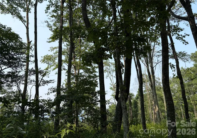 15th image of 000 Catbrier Ln, Burnsville, NC 28714 | MLS# 4406382