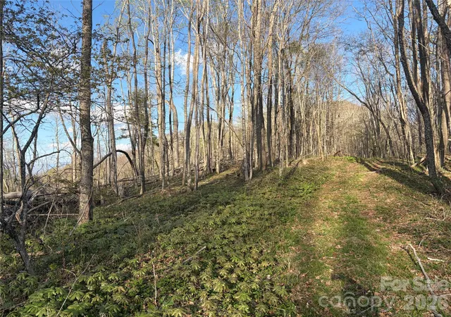 2nd image of 000 Catbrier Ln, Burnsville, NC 28714 | MLS# 4406382
