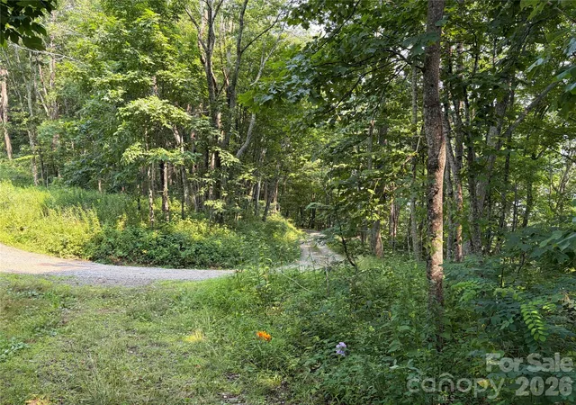 4th image of 000 Catbrier Ln, Burnsville, NC 28714 | MLS# 4406382