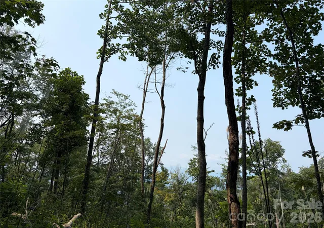 5th image of 000 Catbrier Ln, Burnsville, NC 28714 | MLS# 4406382