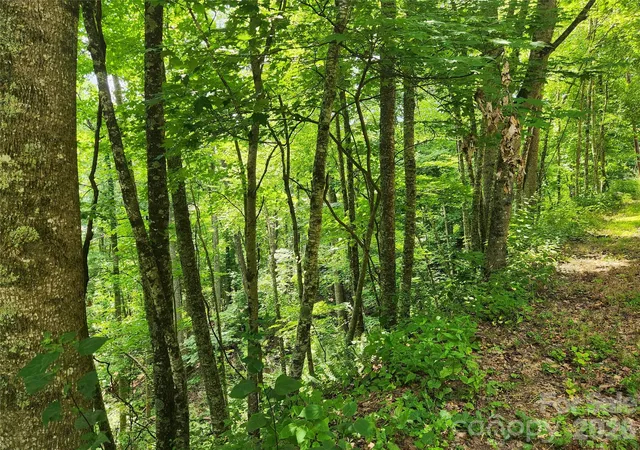 1st image of 00 Green Ridge Falls Rd, Barnardsville, NC 28709 | MLS# 4406389