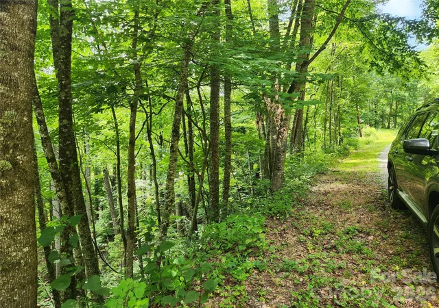 2nd image of 00 Green Ridge Falls Rd, Barnardsville, NC 28709 | MLS# 4406389
