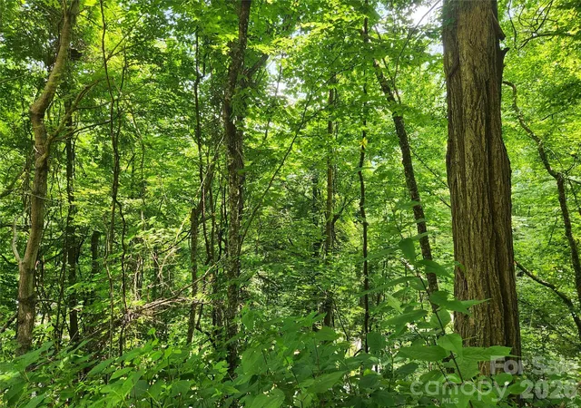 Photo 3 of Land for sale at 00 Green Ridge Fls Rd, Barnardsville, NC | MLS# 4406389 | Listing updated on 2026-07-21