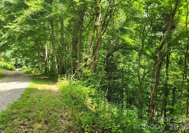 4th image of 00 Green Ridge Falls Rd, Barnardsville, NC 28709 | MLS# 4406389