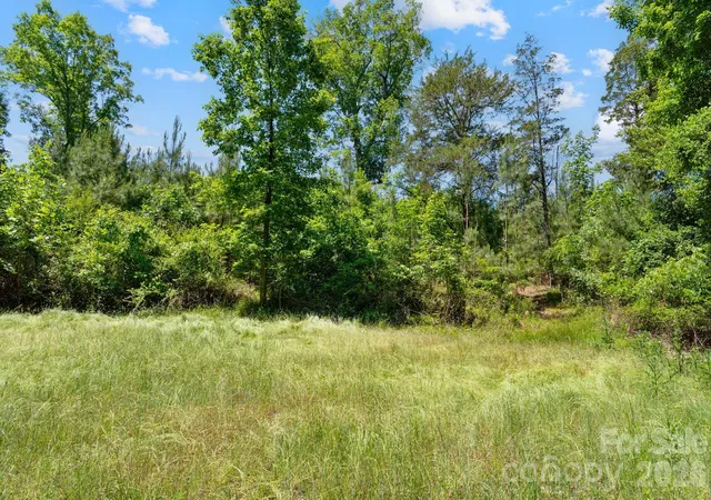 Photo 20 of Land for sale at 0000 Cool Branch Rd #3, Carlisle, SC 29706 | MLS# 4406397 | Listing updated on 2026-07-22