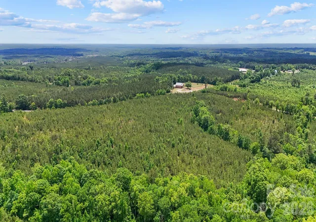 Photo 3 of Land for sale at 0000 Cool Branch Rd #3, Carlisle, SC 29706 | MLS# 4406397 | Listing updated on 2026-07-22