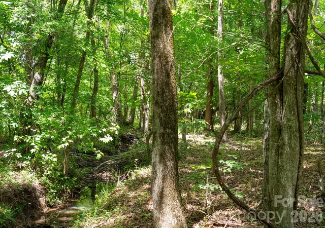 Photo 47 of Land for sale at 0000 Cool Branch Rd #5, Carlisle, SC 29706 | MLS# 4406414 | Listing updated on 2026-07-22