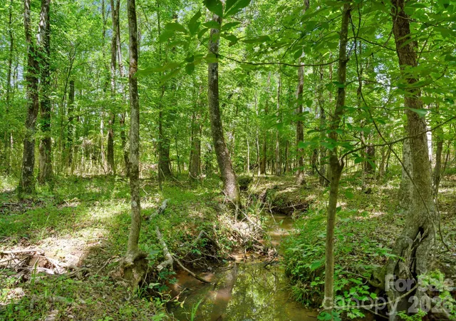 Photo 5 of Land for sale at 0000 Cool Branch Rd #5, Carlisle, SC 29706 | MLS# 4406414 | Listing updated on 2026-07-22