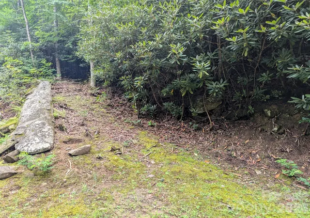 Photo 3 of Land for sale at 99999 Maryland Pl #1426, Montreat, NC 28757 | MLS# 4406485 | Listing updated on 2026-09-25