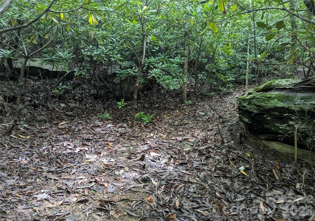 Photo 3 of Land for sale at 99999 Maryland Pl #1426, Montreat, NC 28757 | MLS# 4406485 | Listing updated on 2026-09-25
