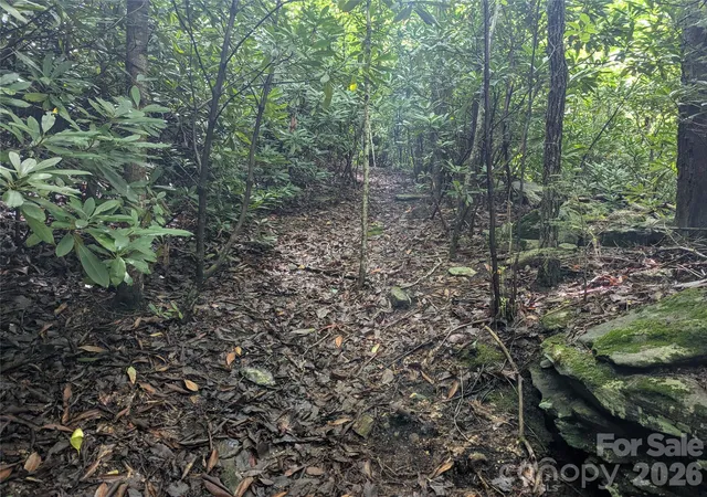 Photo 4 of Land for sale at 99999 Maryland Pl #1426, Montreat, NC 28757 | MLS# 4406485 | Listing updated on 2026-09-25