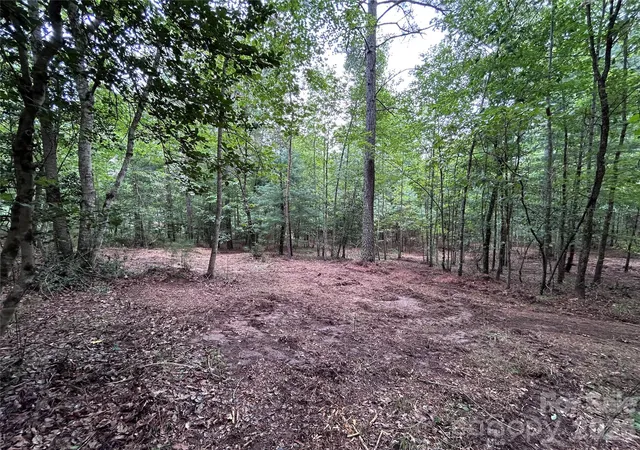 Photo 3 of Land for sale at 1036 W Paradise Harbor Dr, Connelly Springs, NC 28612 | MLS# 4406501 | Listing updated on 2026-09-12