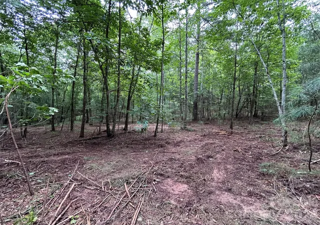 Photo 4 of Land for sale at 1036 W Paradise Harbor Dr, Connelly Springs, NC 28612 | MLS# 4406501 | Listing updated on 2026-09-12