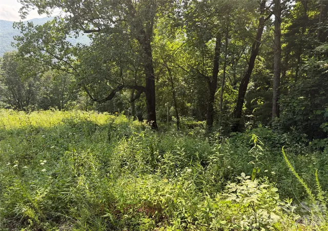 12th image of 0000 Sorrells Creek Rd, Canton, NC 28716 | MLS# 4406551