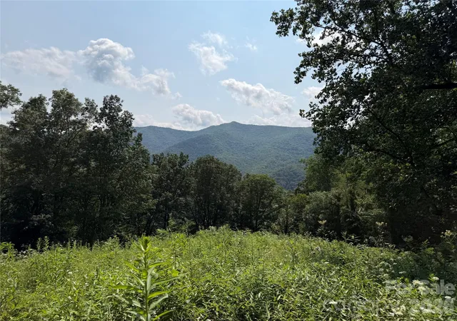 2nd image of 0000 Sorrells Creek Rd, Canton, NC 28716 | MLS# 4406551