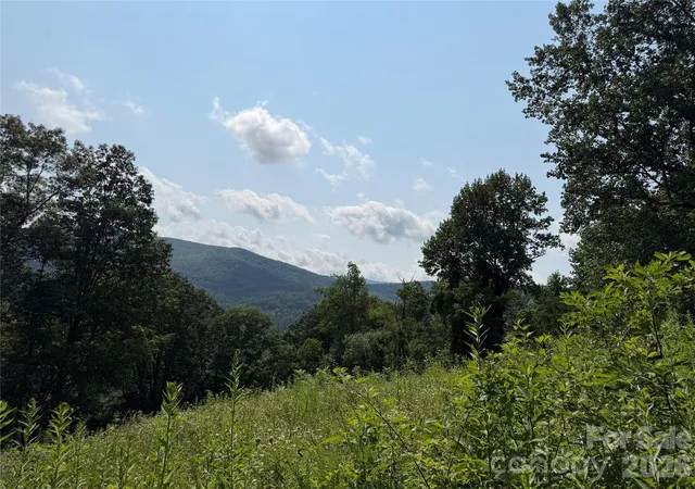 3rd image of 0000 Sorrells Creek Rd, Canton, NC 28716 | MLS# 4406551