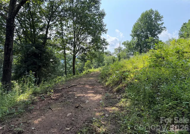 4th image of 0000 Sorrells Creek Rd, Canton, NC 28716 | MLS# 4406551