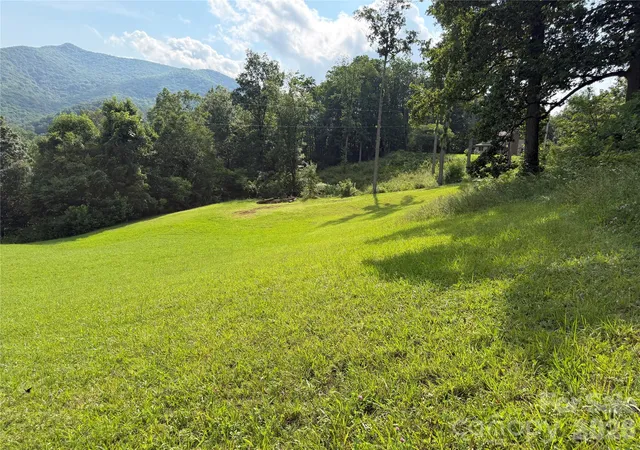 9th image of 0000 Rickman Rdg, Canton, NC 28716 | MLS# 4406561