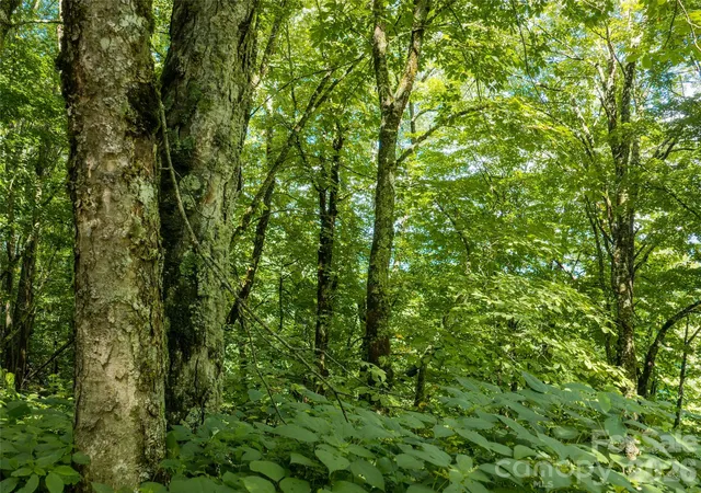 Photo 17 of Land for sale at #e16 Adela Trl, Maggie Valley, NC 28751 | MLS# 4406586 | Listing updated on 2026-08-05