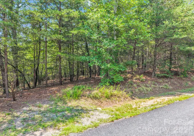 20th image of 00 Lake Adger Pkwy #60, Mill Spring, NC 28756 | MLS# 4406591