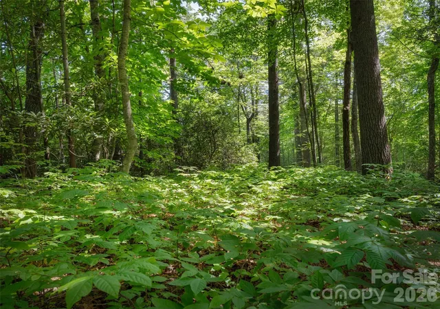 Photo 1 of Land for sale at Lot 161 Eagle Lake Dr, Brevard, NC 28712 | MLS# 4406598 | Listing updated on 2026-07-23