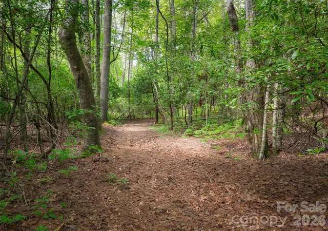 Photo 2 of Land for sale at Lot 161 Eagle Lake Dr, Brevard, NC 28712 | MLS# 4406598 | Listing updated on 2026-07-23