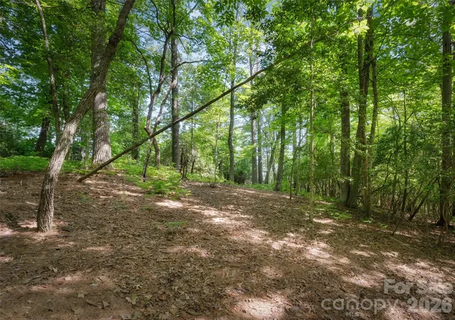 Photo 3 of Land for sale at Lot 161 Eagle Lake Dr, Brevard, NC 28712 | MLS# 4406598 | Listing updated on 2026-07-23