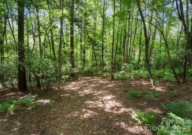 Photo 4 of Land for sale at Lot 161 Eagle Lake Dr, Brevard, NC 28712 | MLS# 4406598 | Listing updated on 2026-07-23