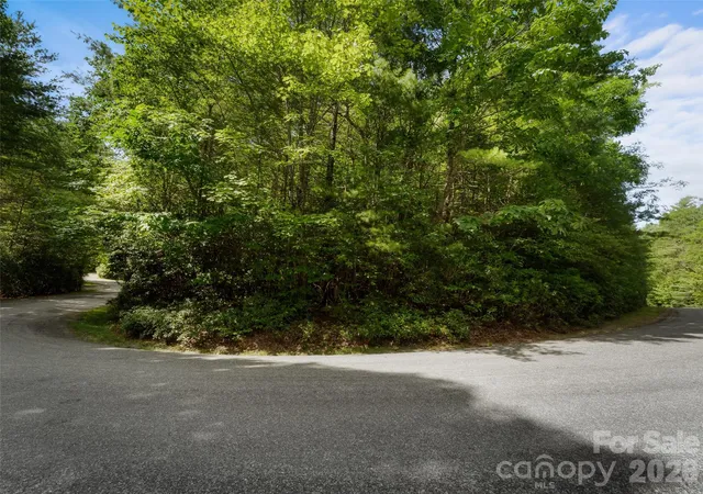 Photo 5 of Land for sale at Lot 161 Eagle Lake Dr, Brevard, NC 28712 | MLS# 4406598 | Listing updated on 2026-07-23