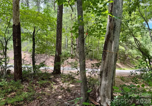 Photo 4 of Land for sale at 307 Fairway Dr, Lake Lure, NC 28746 | MLS# 4406644 | Listing updated on 2026-08-31