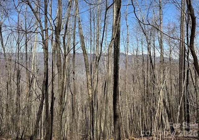 Photo 2 of Land for sale at 140 Boar Ridge Rd, Sylva, NC 28779 | MLS# 4406651 | Listing updated on 2026-08-20