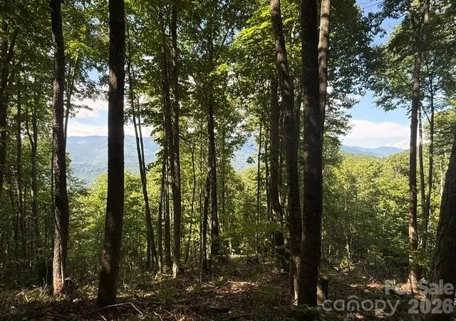 Photo 3 of Land for sale at 140 Boar Ridge Rd, Sylva, NC 28779 | MLS# 4406651 | Listing updated on 2026-08-20