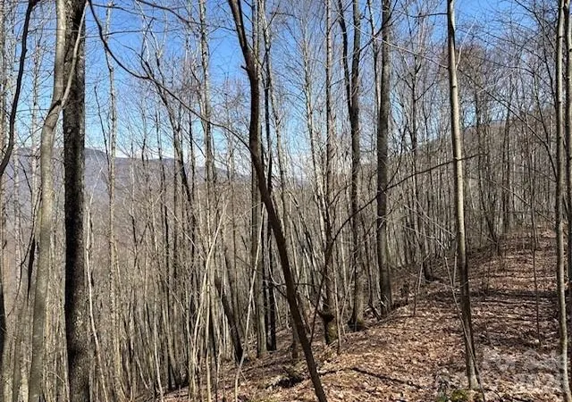 Photo 4 of Land for sale at 140 Boar Ridge Rd, Sylva, NC 28779 | MLS# 4406651 | Listing updated on 2026-08-20