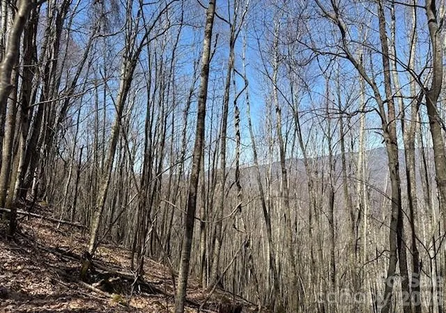 Photo 5 of Land for sale at 140 Boar Ridge Rd, Sylva, NC 28779 | MLS# 4406651 | Listing updated on 2026-08-20