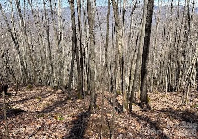 Photo 6 of Land for sale at 140 Boar Ridge Rd, Sylva, NC 28779 | MLS# 4406651 | Listing updated on 2026-08-20
