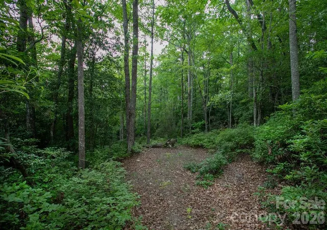 Photo 1 of Land for sale at Lot 28 Big Hl Rd #28, Brevard, NC 28712 | MLS# 4406656 | Listing updated on 2026-07-23