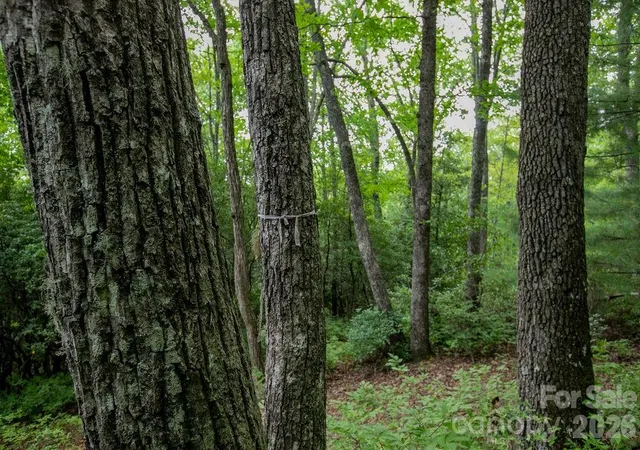 Photo 20 of Land for sale at Lot 28 Big Hl Rd #28, Brevard, NC 28712 | MLS# 4406656 | Listing updated on 2026-07-23