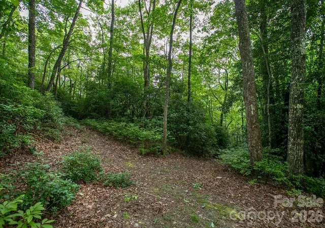 Photo 3 of Land for sale at Lot 28 Big Hl Rd #28, Brevard, NC 28712 | MLS# 4406656 | Listing updated on 2026-07-23