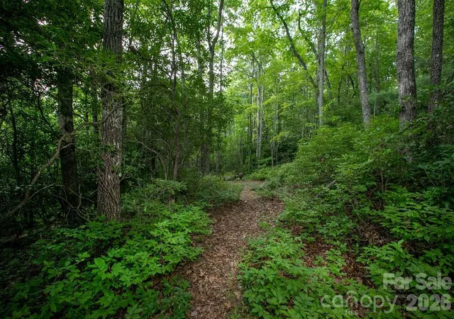 Photo 4 of Land for sale at Lot 28 Big Hl Rd #28, Brevard, NC 28712 | MLS# 4406656 | Listing updated on 2026-07-23