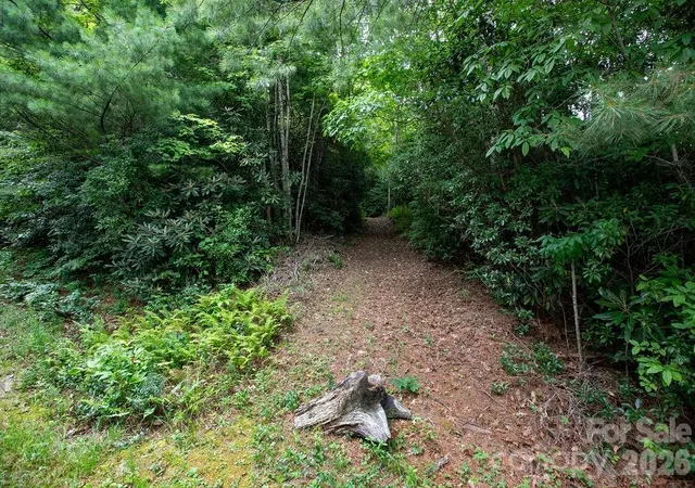 Photo 5 of Land for sale at Lot 28 Big Hl Rd #28, Brevard, NC 28712 | MLS# 4406656 | Listing updated on 2026-07-23