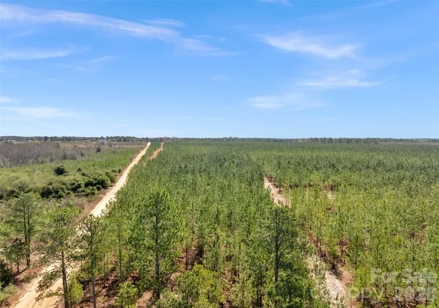 Photo 2 of Land for sale at 931 Charlie Johnson Rd #3, Kershaw, SC 29067 | MLS# 4406678 | Listing updated on 2026-07-28