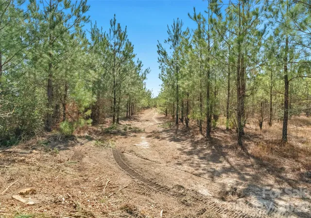 Photo 35 of Land for sale at 931 Charlie Johnson Rd #3, Kershaw, SC 29067 | MLS# 4406678 | Listing updated on 2026-07-28