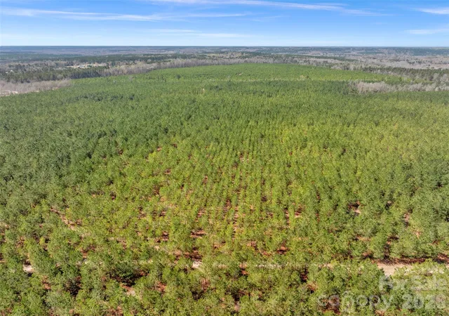Photo 3 of Land for sale at 931 Charlie Johnson Rd #3, Kershaw, SC 29067 | MLS# 4406678 | Listing updated on 2026-07-28