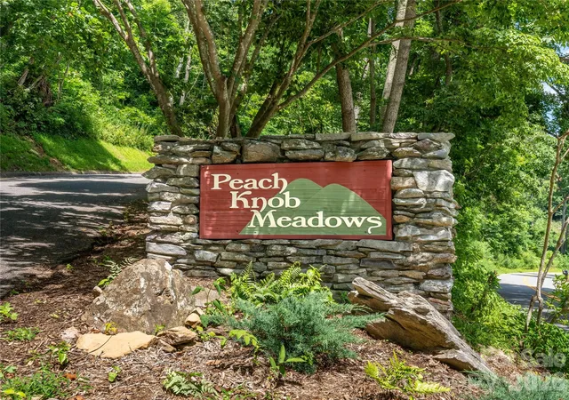 20th image of 36 Cary Ln, Asheville, NC 28804 | MLS# 4406712