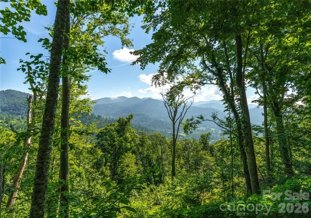 image of 36 Cary Ln, Asheville, NC 28804 | MLS# 4406712